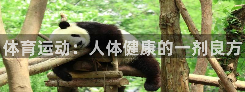 yy易游官网下载平台是正规平台吗知乎：体育运动：人体