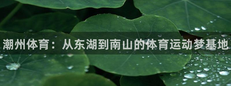 yy易游官网下载平台注册：潮州体育：从东湖到南山的体