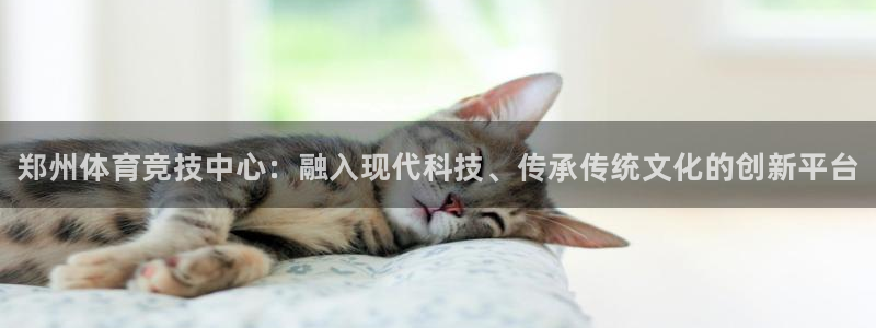 yy易游官网下载平台注册要钱吗是真的吗：郑州体育竞技