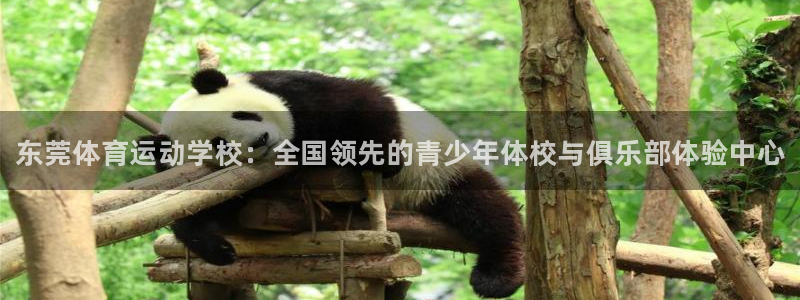 海南yy易游官网下载：东莞体育运动学校：全国领先的青