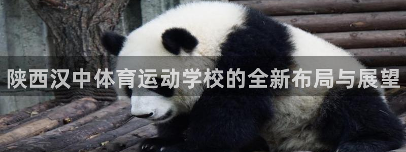 yy易游官网下载平台注册流程图：陕西汉中体育运动学校