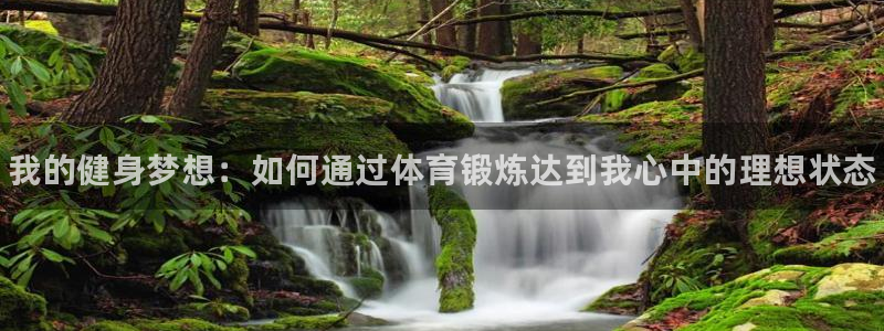 yy易游官方正版app科技：我的健身梦想：如何通过体