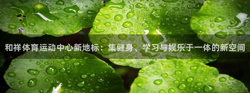 德国yy易游官方正版app集团：和祥体育运动中心新地标：集健