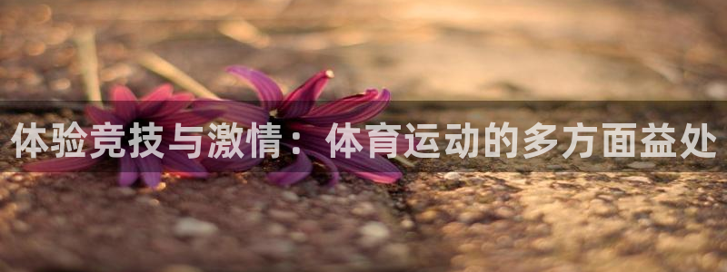 yy易游官网下载招商电话号码是多少：体验竞技与激情：体育运动