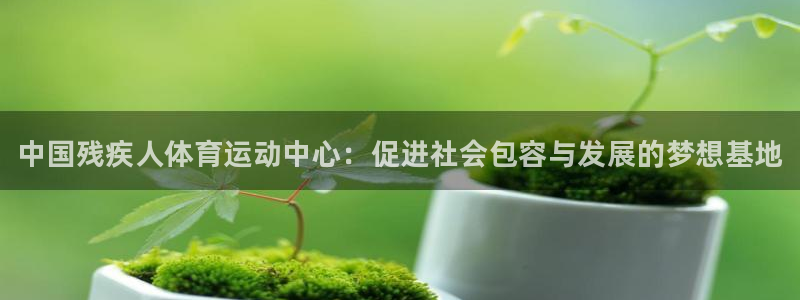 yy易游官方正版app五金厂：中国残疾人体育运动中心：促进社