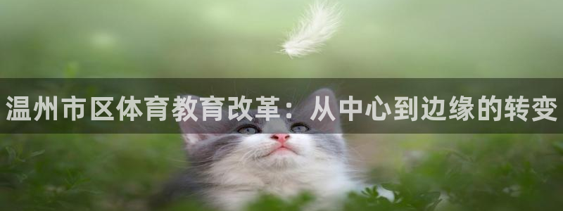yy易游官网下载平台：温州市区体育教育改革：从中心到边缘的转