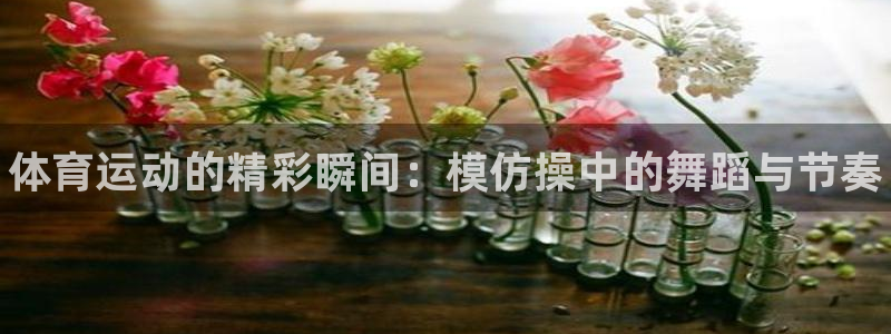 yy易游官网下载招商电话号码查询是多少：体育运动的精彩瞬间：