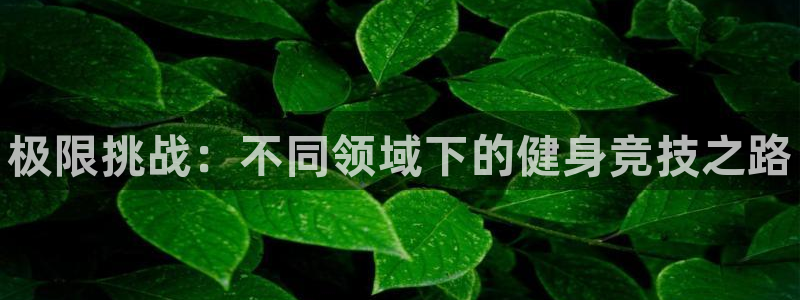 yy易游官方正版app集团官网网址：极限挑战：不同领
