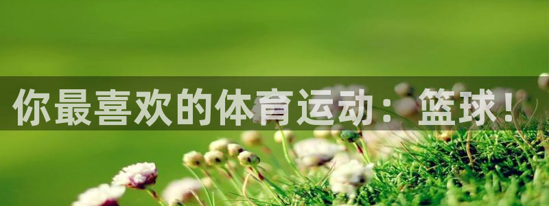 德国yy易游官方正版app集团：你最喜欢的体育运动：