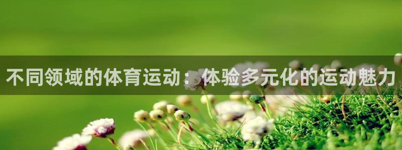 yy易游官方正版app神州：不同领域的体育运动：体验多元化的