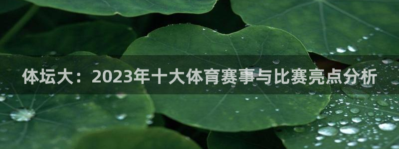 yy易游官网下载招商电话是多少：体坛大：2023年十