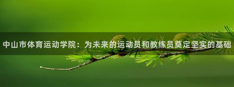 yy易游官网下载平台注册流程图：中山市体育运动学院：