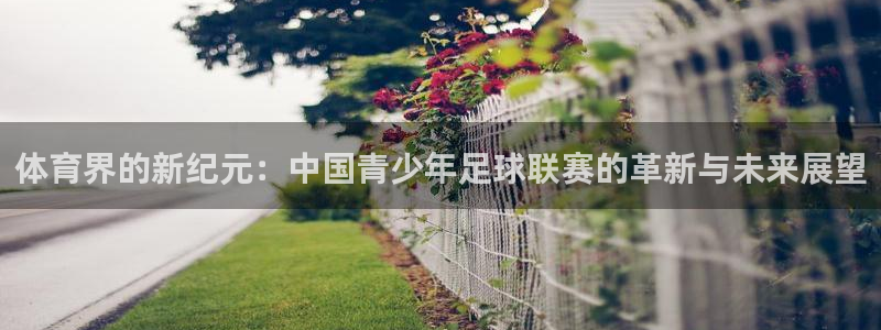 yy易游官网下载招商电话地址查询：体育界的新纪元：中