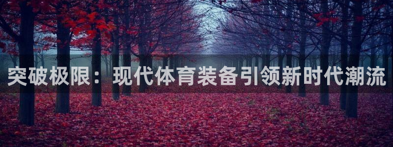 yy易游官网下载招商电话号码：突破极限：现代体育装备