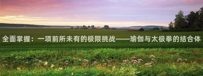 yy易游官网下载平台注册流程视频：全面掌握：一项前所