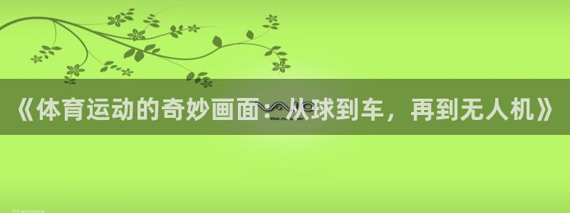 yy易游官网下载招商电话号码：《体育运动的奇妙画面：