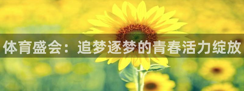 yy易游官网下载平台注册流程图：体育盛会：追梦逐梦的青春活力