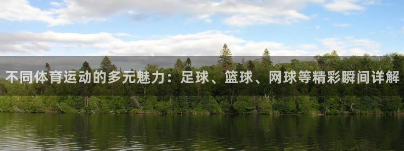 yy易游官方正版app神州：不同体育运动的多元魅力：足球、篮