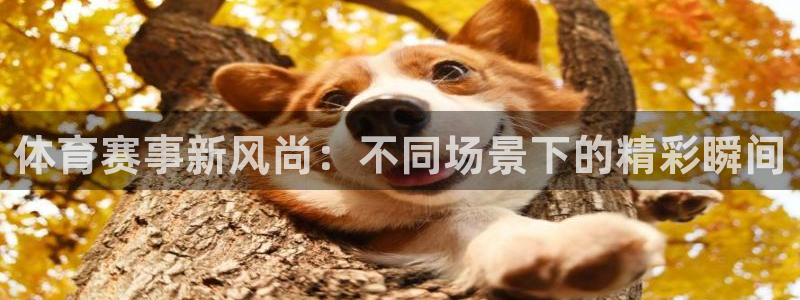 yy易游官方正版app集团官网首页：体育赛事新风尚：不同场景