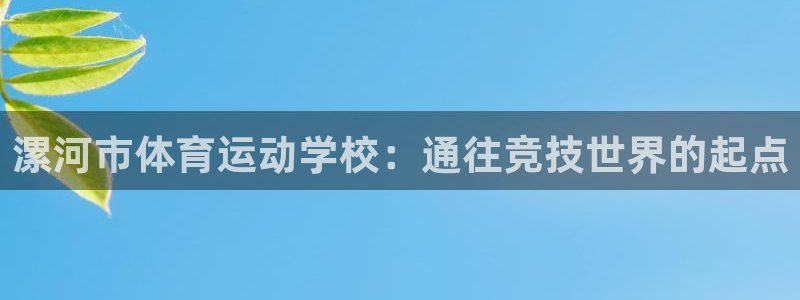 yy易游官方正版app集团E.ON：漯河市体育运动学校：通往
